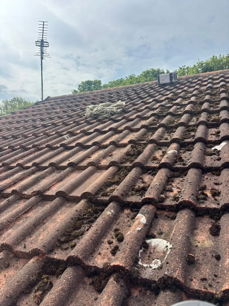 Roof Cleaning by HK Exterior Cleaning