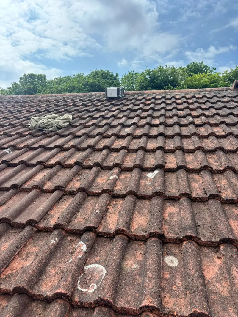 Roof Cleaning by HK Exterior Cleaning